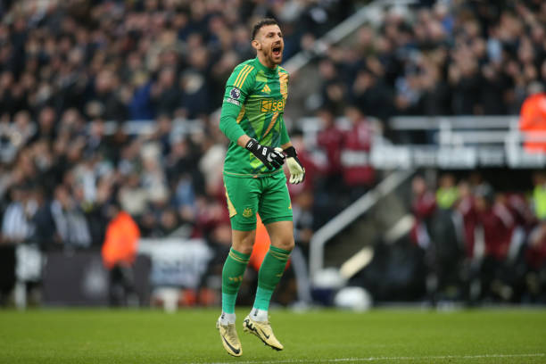 澤馬逐漸年 澤馬逐漸年